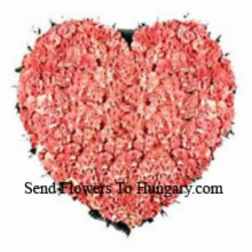 Arrangement en forme de cœur de 101 Oeillets roses