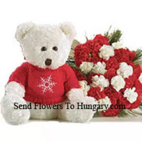 Bouquet de 25 œillets rouges et blancs avec un ours en peluche de taille moyenne mignon